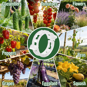 SZUAH gentle-on-stems trellis clip protects delicate vines while supporting growth