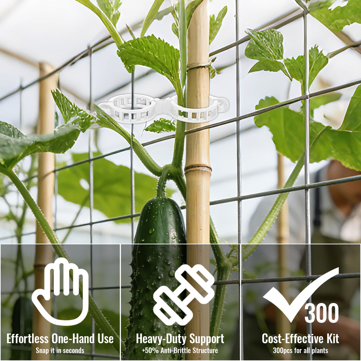 SZUAH indoor and outdoor use clips support vegetables grapes and flowering climbers