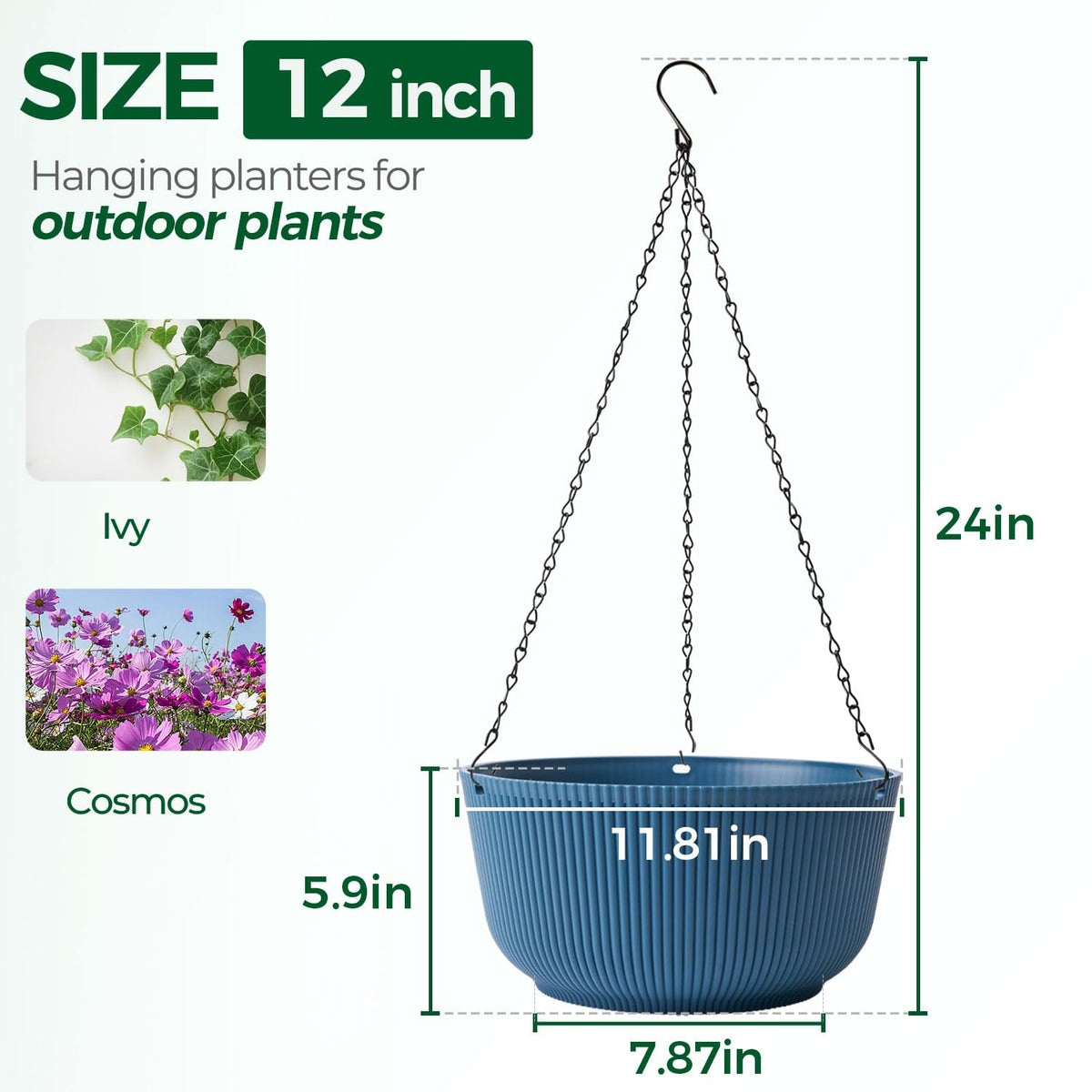 T4U blue self-watering plate visible inside hanging planter