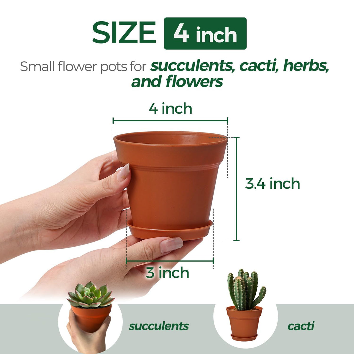 T4U 18-pack includes matching saucers for tidy shelves.