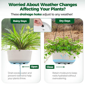 T4U 2-in-1 planter can hang or rest on a table.