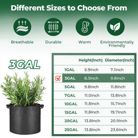 T4U 3-gallon bags ideal for rosemary and chamomile in outdoor beds.