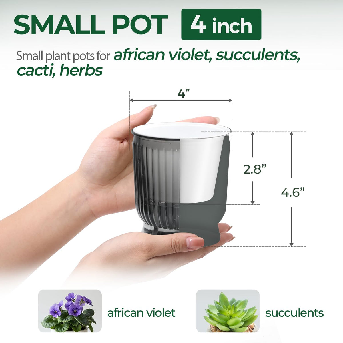 T4U 4-inch self-watering pot supports indoor plants with minimal maintenance.