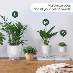 T4U indoor-use self-watering pot in home setting
