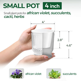 T4U pot shows water level indicator for easy care