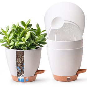 T4U 4-pack 6-inch self-watering pots with a clean white finish for low-maintenance indoor gardening.