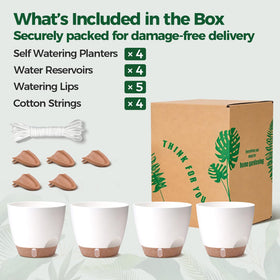T4U 4-pack lets you group plants for cohesive decor.