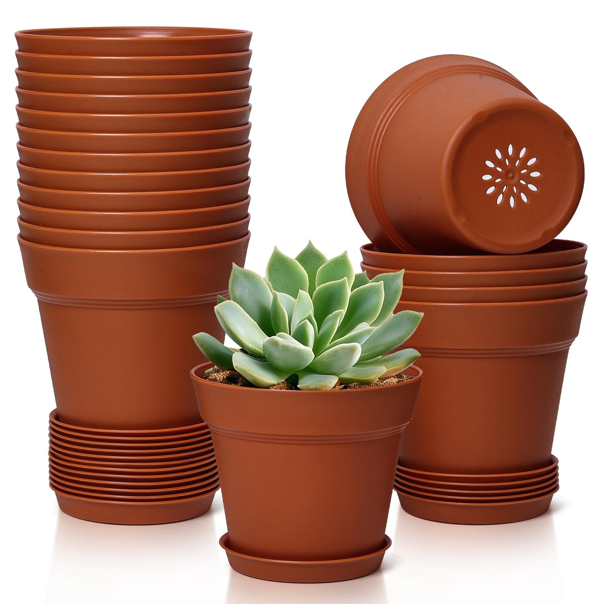T4U 4-inch pot with matte finish ideal for compact indoor displays.
