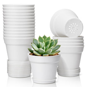 T4U 4-inch white pot with saucer, sturdy for indoor mini gardens.