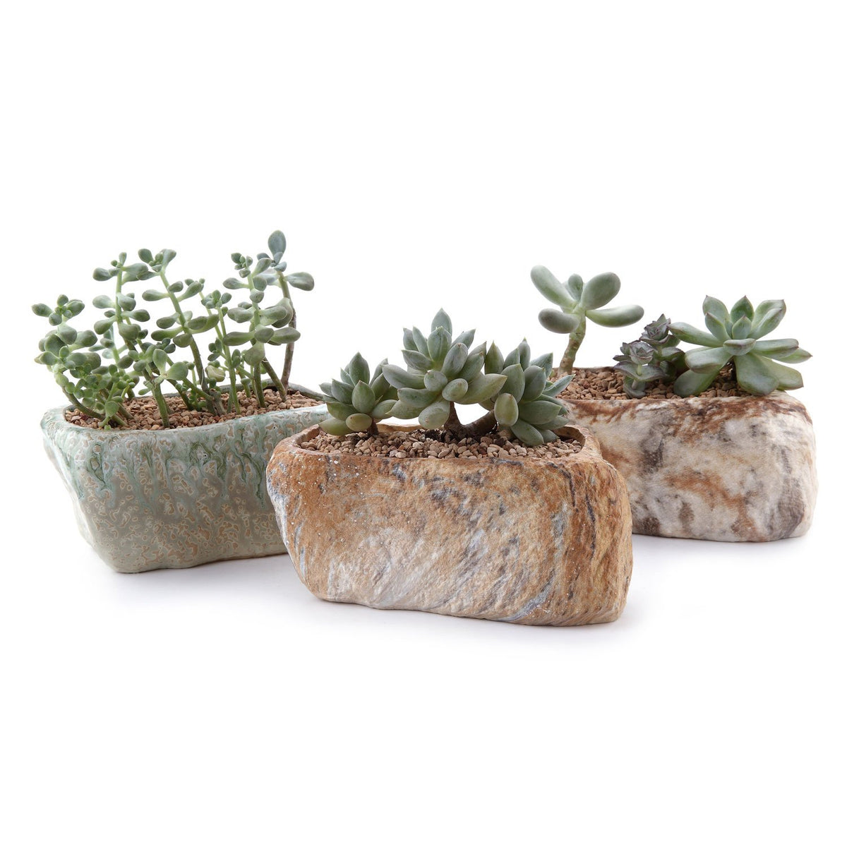 T4U 5.5-inch ceramic succulent pot for tidy desktop display
