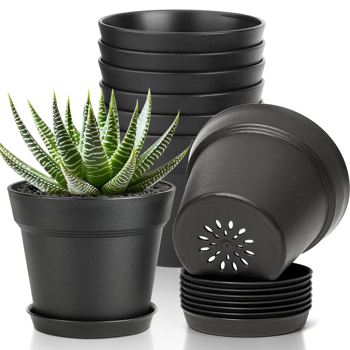 T4U 5-inch pot with saucer keeps surfaces clean and neatly displays succulents.