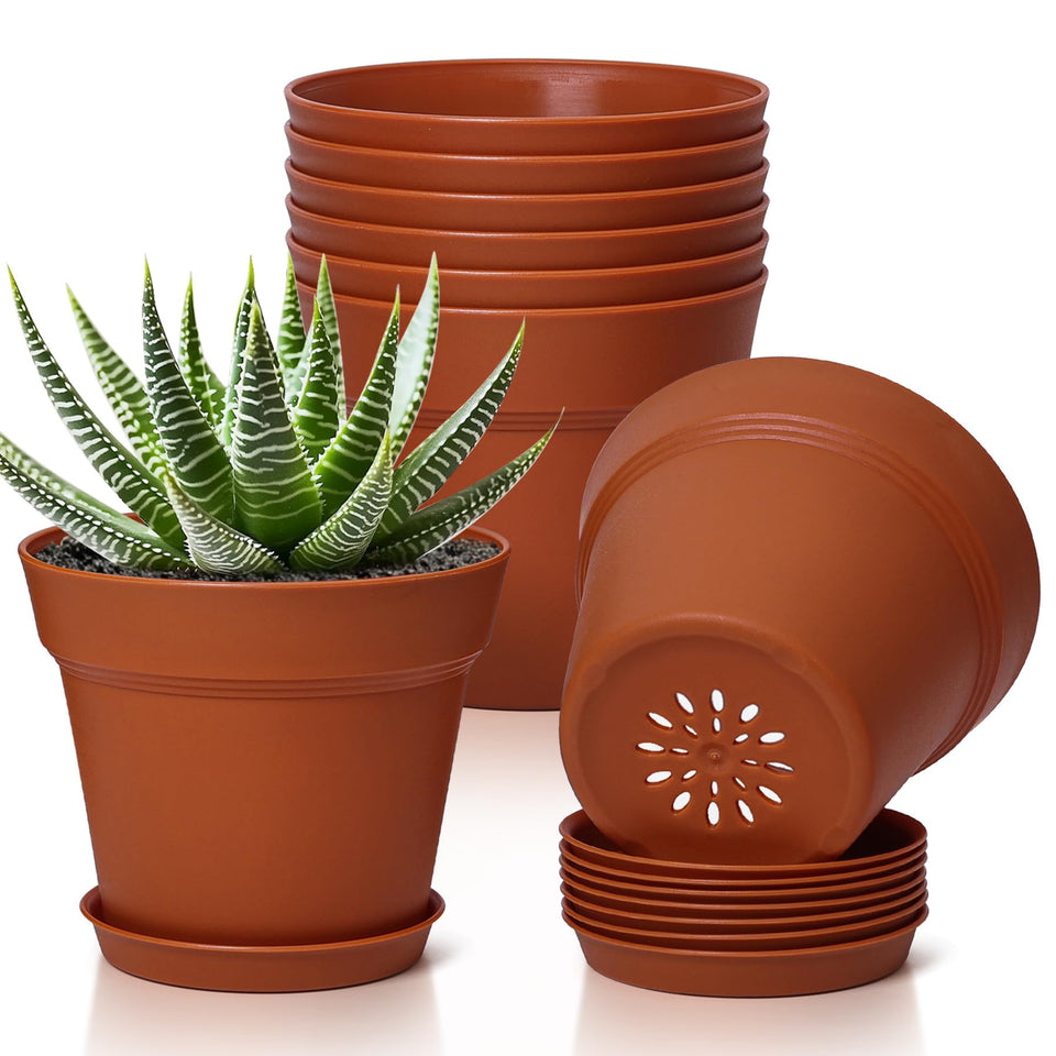 T4U 5-inch plant pot with saucer, ideal for indoor succulents.