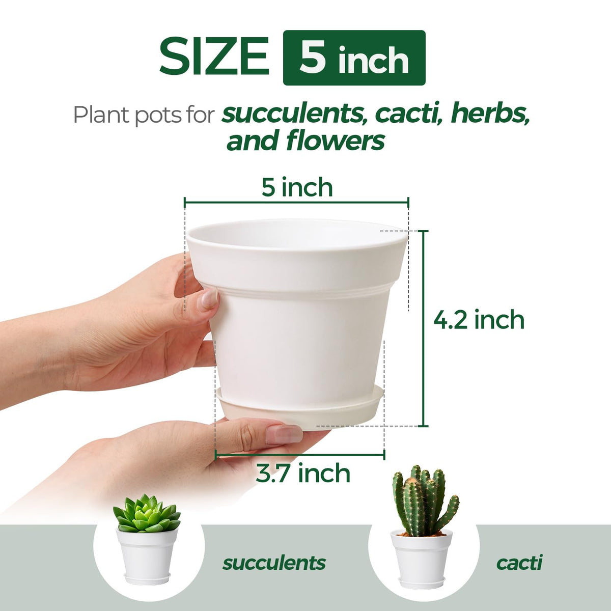 T4U 5-inch pot with saucer set prevents spills on desks.