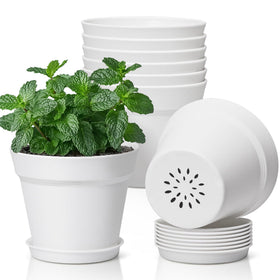 T4U 5-inch white pot with drainage holes promotes healthier roots.