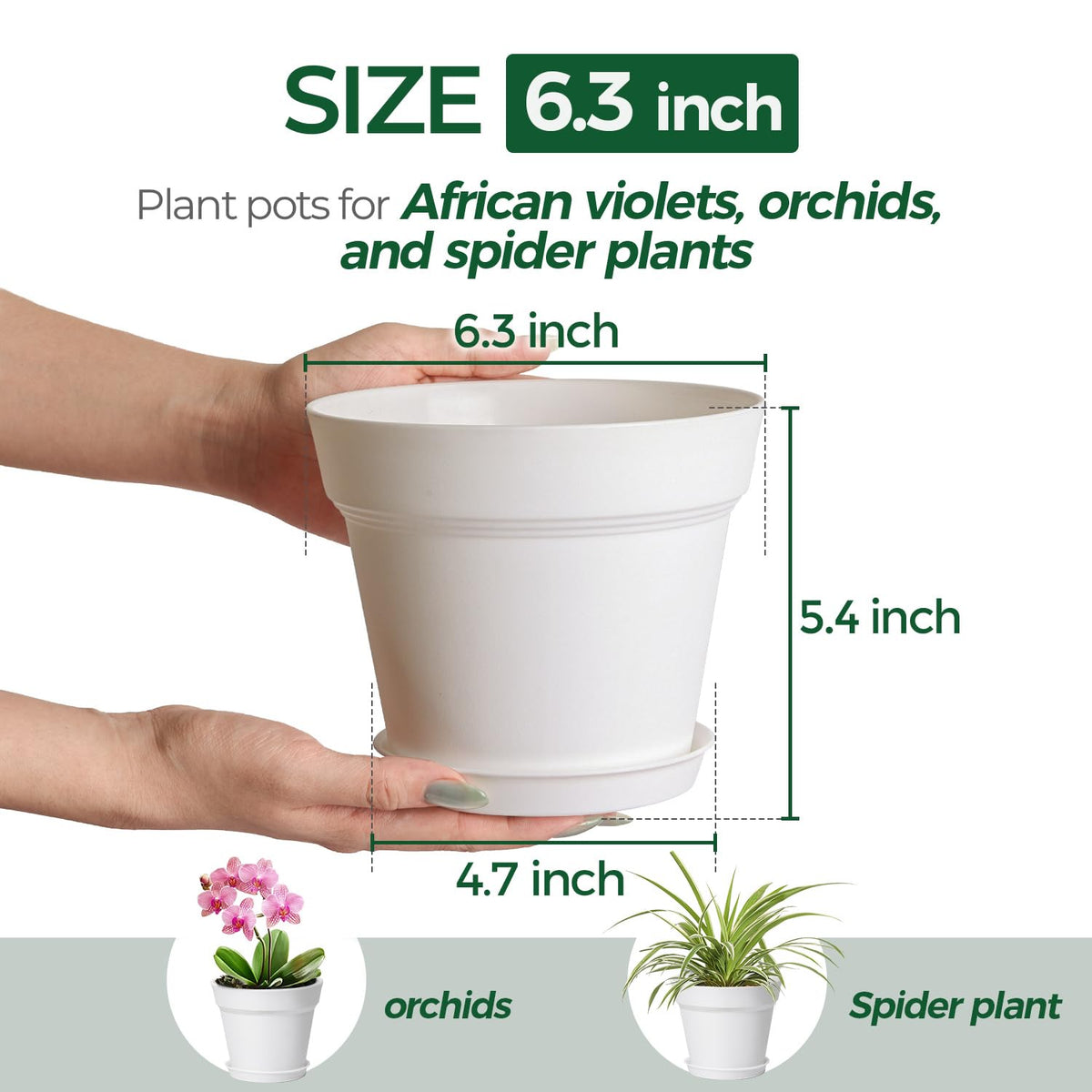 T4U 6-inch pot highlighting drainage holes for better airflow.