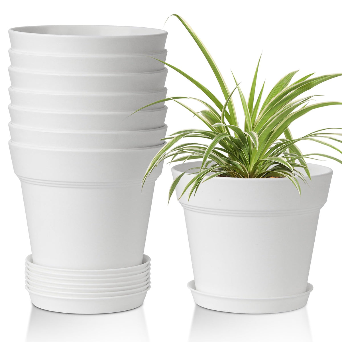T4U 6-inch white pot with drainage holes for healthier root airflow.