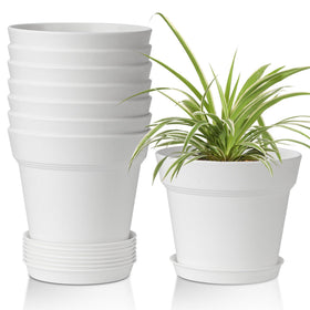 T4U 6-inch white pot with drainage holes for healthier root airflow.