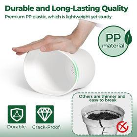T4U 6-inch pot with saucer preventing spills during watering.
