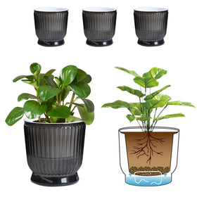 T4U 6-inch self-watering pot 4-pack provides steady moisture for indoor plants.