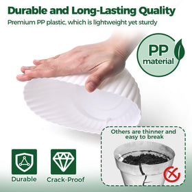 T4U 6-inch pot ideal for African violets and herbs.