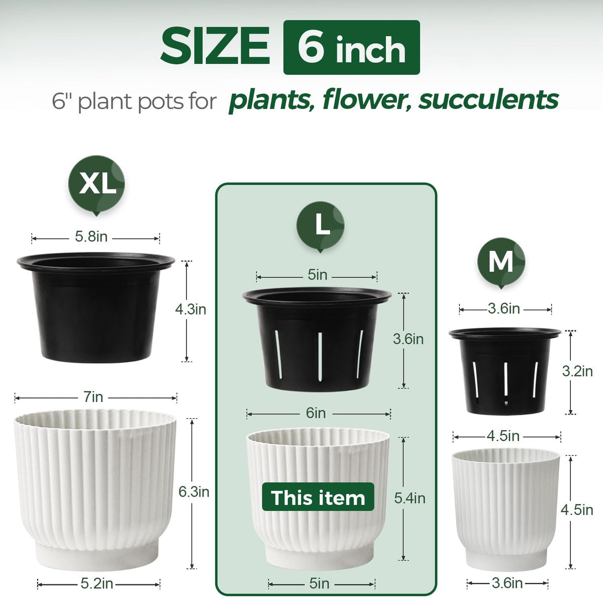 T4U 6-inch pot with cotton rope system maintains steady moisture.