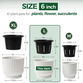 T4U 6-inch pot with cotton rope system maintains steady moisture.