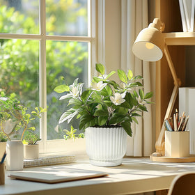 T4U pots support vacation-friendly plant care.