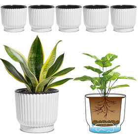 T4U 6-inch self-watering pot with reservoir keeps soil evenly moist.
