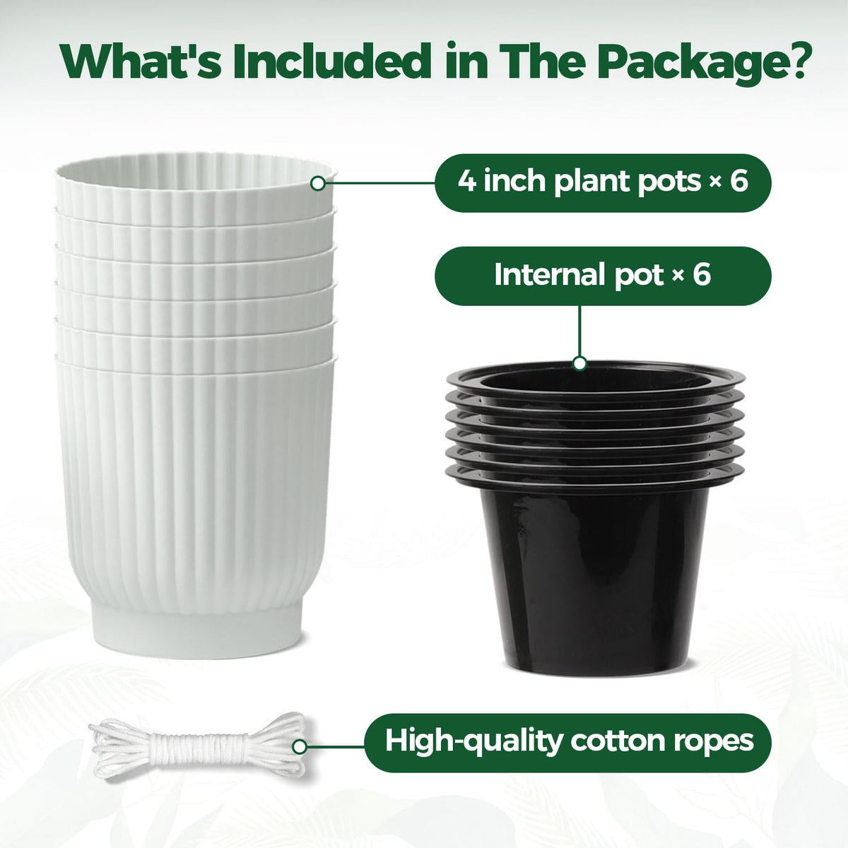 T4U six-pack provides options for a cohesive display.