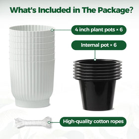 T4U six-pack provides options for a cohesive display.