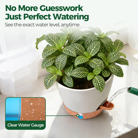 T4U 6-inch indoor-outdoor planter suitable for various spaces and weather.