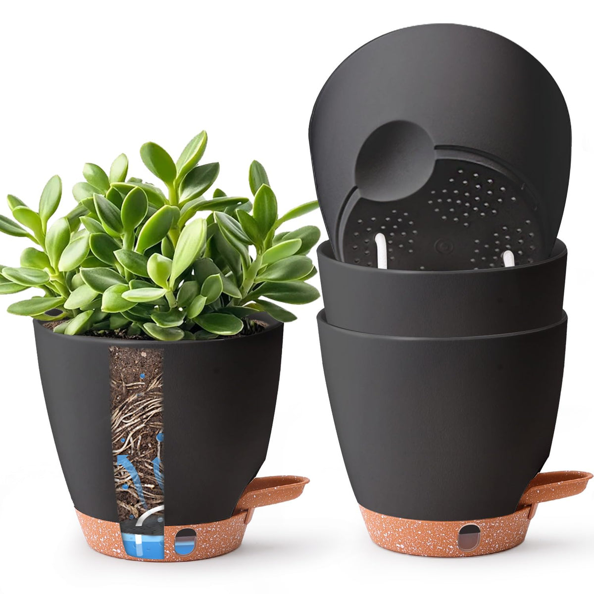 T4U 6-inch self-watering pot close-up with easy water management.