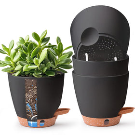 T4U 6-inch self-watering pot close-up with easy water management.