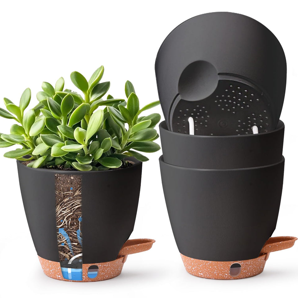 T4U 6-inch self-watering pot close-up with easy water management.
