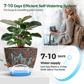 T4U 6-inch pot with a deep reservoir supports longer intervals between waterings.