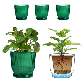T4U 6-inch self-watering pot with reservoir for reliable indoor plant hydration.
