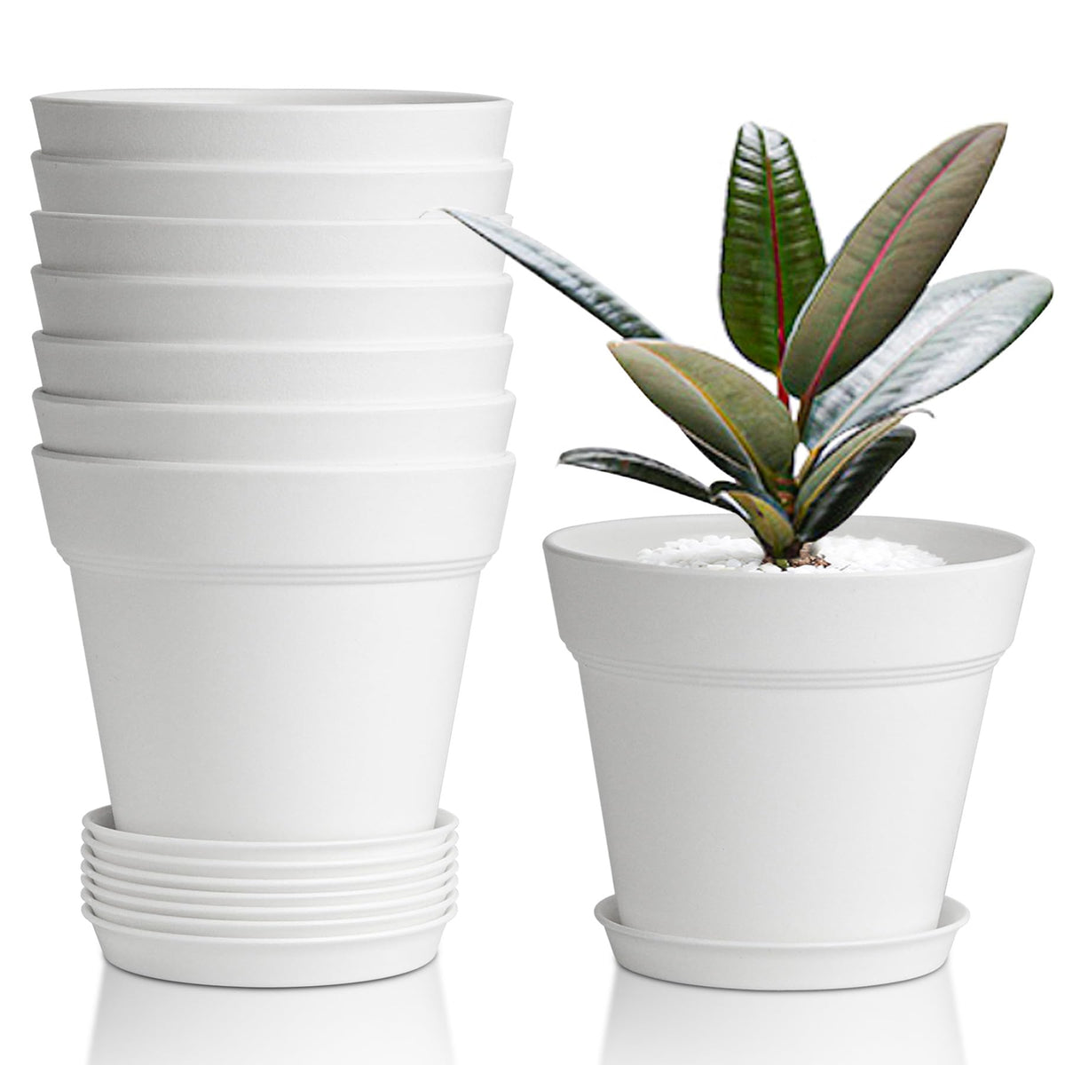 T4U 8-pack 4-inch pots with saucers protect surfaces and simplify watering