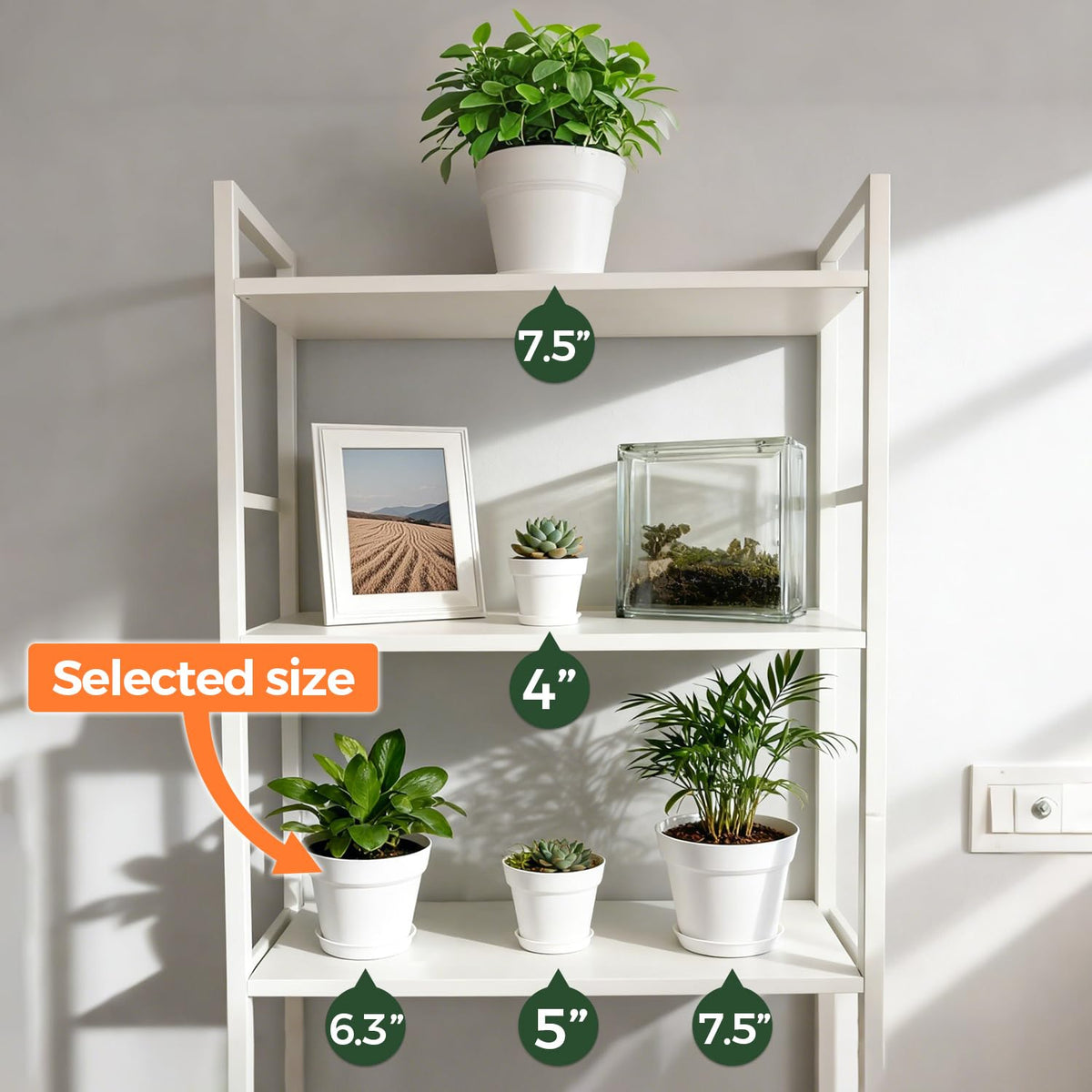 T4U 8-pack plastic pots for easy indoor gardening setup.
