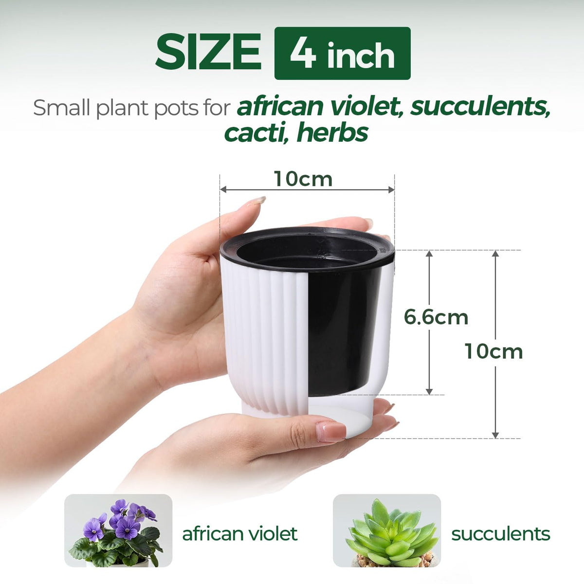 T4U African violet pot set featuring reservoir for easy care.