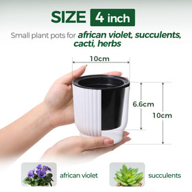 T4U African violet pot set featuring reservoir for easy care.