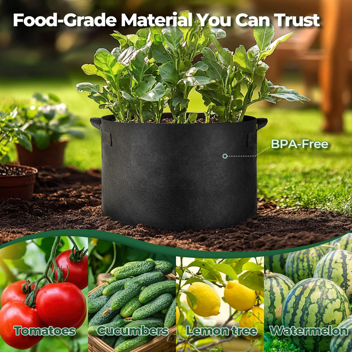 T4U air-root-pruning bag promotes healthier roots and less tangling.