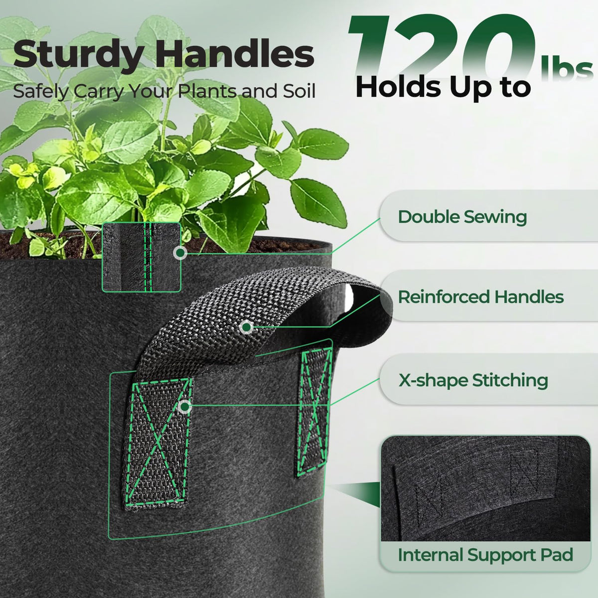 T4U air root pruning bag supports healthier roots with less tangling.