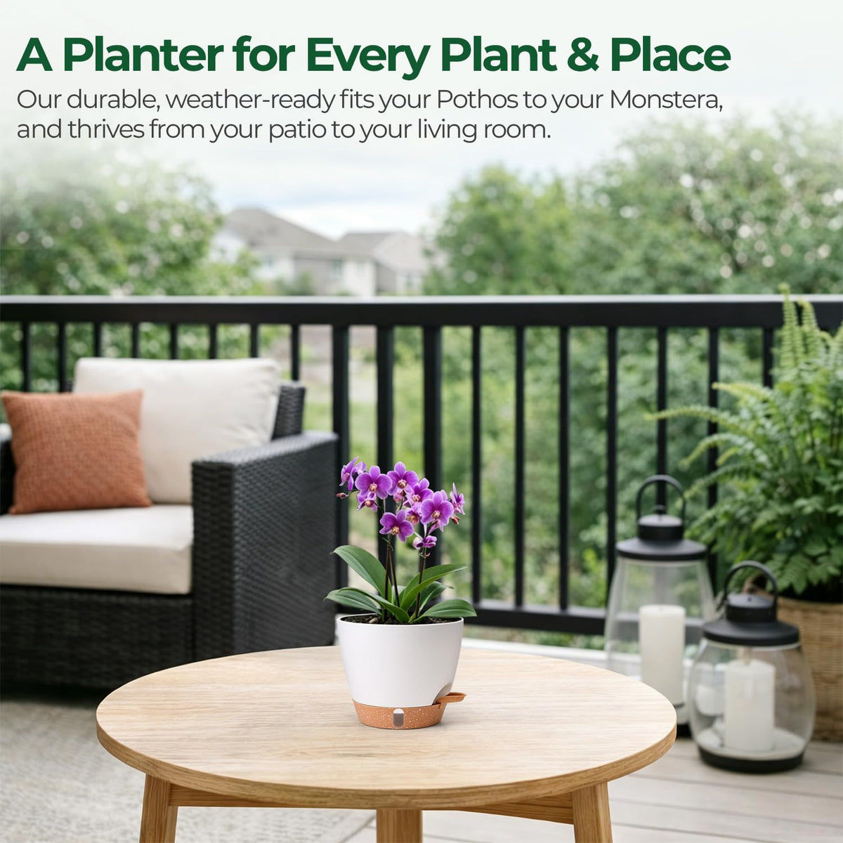 T4U beginner-friendly self-watering pot with simple maintenance.