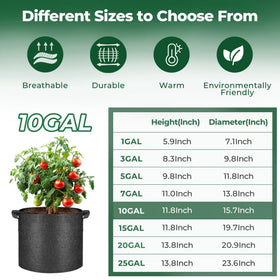 T4U breathable nonwoven fabric pot promotes strong root systems for vegetables.