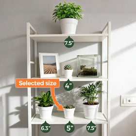T4U bulk gift-ready plant pots suit plant lovers.