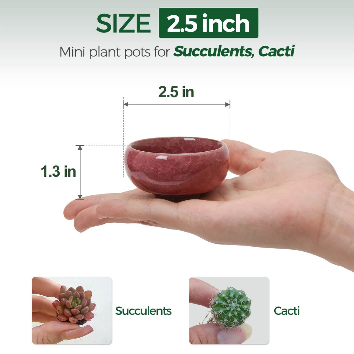 T4U ceramic planter with drainage hole for healthy soil moisture.