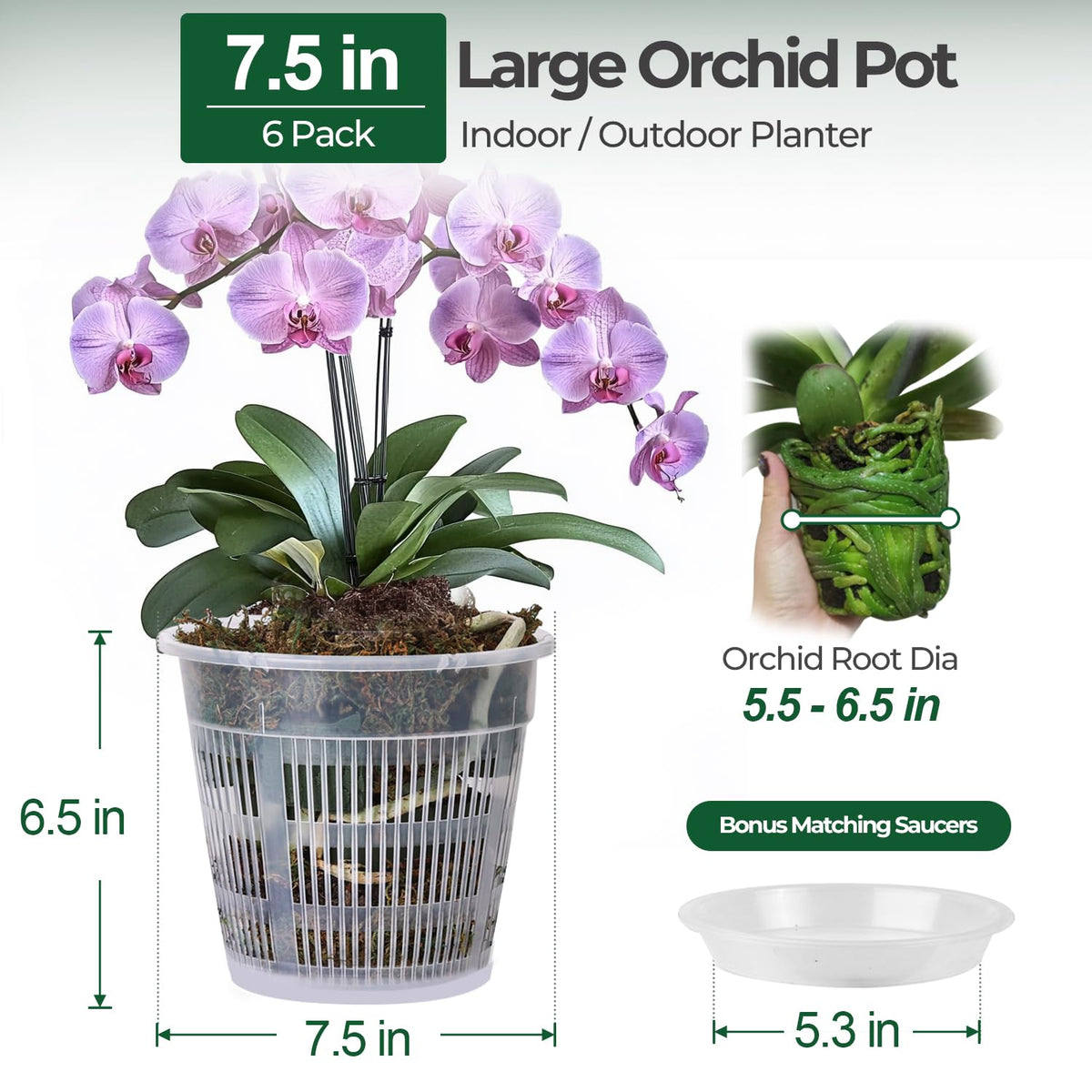 T4U clear orchid pot showing root structure for monitoring