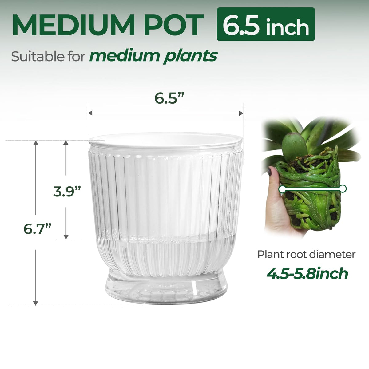 T4U clear water level indicator helps you monitor hydration at a glance.
