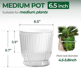 T4U clear water level indicator helps you monitor hydration at a glance.