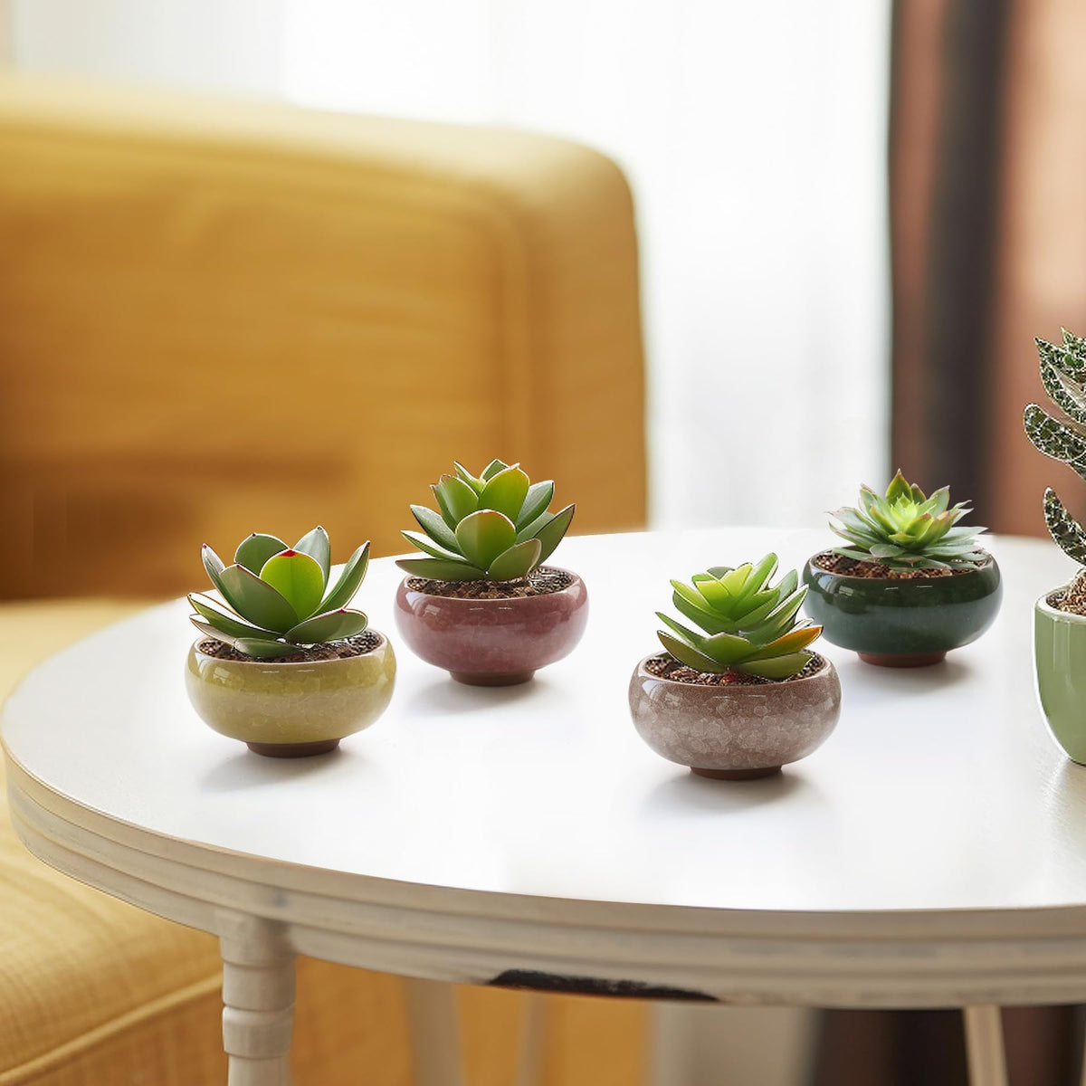 T4U collection of 12 small pots ideal for tiny plants.